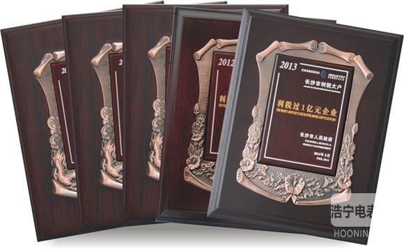 威勝入選全國(guó)十家依法誠(chéng)信納稅企業(yè)之一