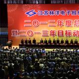 奮斗2013年，為開(kāi)啟林洋事業(yè)新的征程而努力奮斗